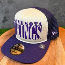 Minnesota Vikings Collecting and Fan Guide 40