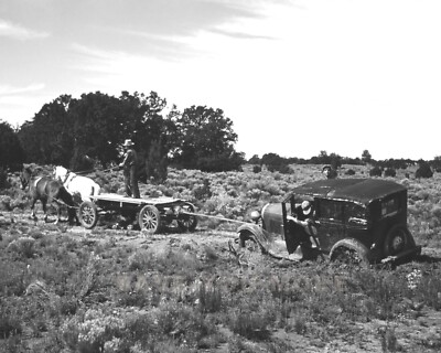 Mule Team Pull Automobile Photograph Stuck In Mud Pie Town New Mexico 8X10 1940