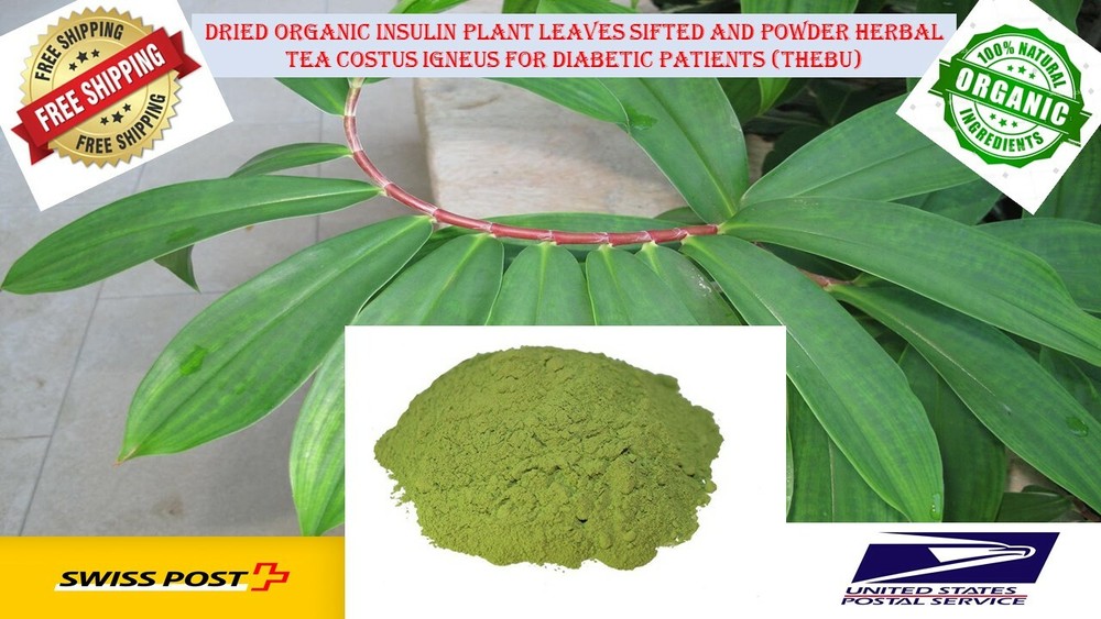 Dried Organic Insulin Plant Powder Herbal Tea Costus Igneus For Diabetic ceylon