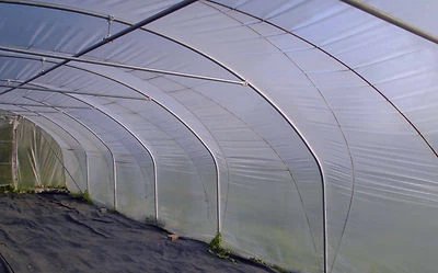 Gewaechs - haus - folie 1,75 €/m² Gewächshausfolie transparent UV-Stabil 1 a