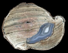 Dugway Geode Thunderegg, Utah, USA