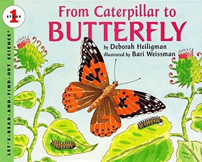 From Caterpillar to Butterfly  (Let's-Read-and-Find-Out Science, Stage 1) by De