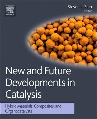 Steven L Suib New and Future Developments in Catalysis (Gebundene Ausgabe)