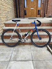 Raleigh Team Panasonic Bike