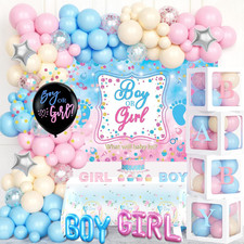 Baby Gender Reveal Decorations, Girl or Boy Gender Reveal Party Decorations, He