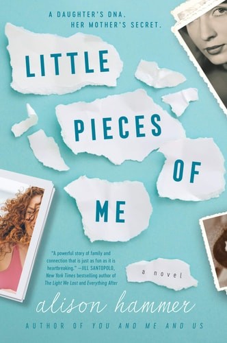 Little Pieces of Me: A Novel by Hammer, Alison, Good Book