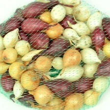 Mixed Onion Sets Red, Yellow, White Bulbs, Non-GMO 8 oz. (40+Bulbs) Shipping Now