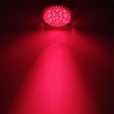 36W 640nm~650nm PAR38 Red LED Lamp Spot Light Bulb for Therapy Plant E27 E26