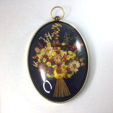 Wall Hanging Picture Plaque Convex Dome Dry Flowers Brass Frame 9" x 6" Belgium