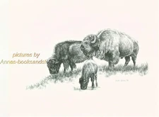 #175 BUFFALO with CALF * wildlife  art print *  pen & ink drawing by Jan Jellins