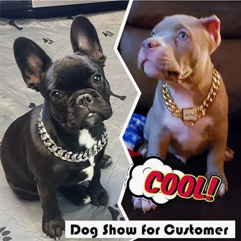 狗项圈带锆石锁定手工抛光不锈钢金属 - 19 毫米,12 — 第 2/4 张图片