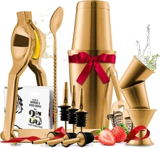 Bar Set Cocktail Shaker Set, Stainless Steel Mixology Bartender Kit, 16 Piece Co