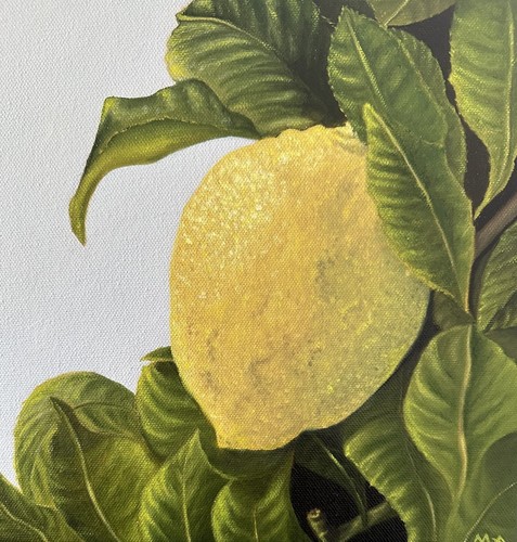 Original Oil Painting Still Life Lemon Tree Realism Abstract Art Home Wall Decor - Picture 12 of 13