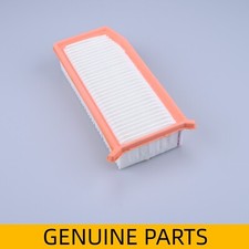 Air filter for Renault Arkana Kadjar Captur Duster  165467674R Genuine Brand new