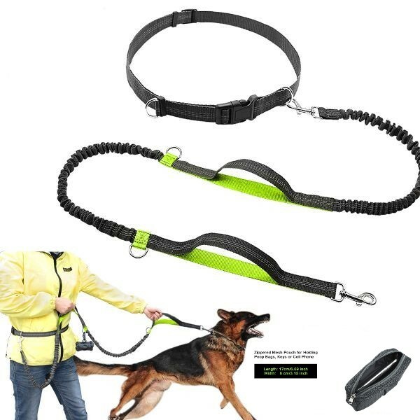 Hands Free Running Dog Lead / DualHandle Dog Leash Bungee Reflective