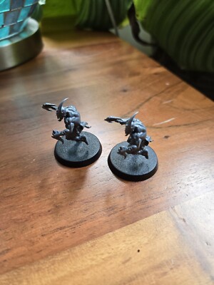 (2) Warhammer Quest Silver Tower Miniatures. Age Of Sigmar