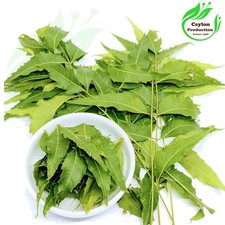 Neem déshydraté feuilles entières bio Azadirachta indica miracle herb Nimtree