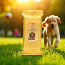 Burt  s Bees Dog Wipes Hypoallergenic Honey   50 Count Natural Pet Care