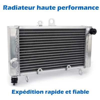 For Honda Radiateur à eau en aluminium CBF500 04-08 05 06 CBF 500 A ABS 04-07 08 - Photo 1/4