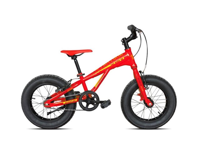 fat bike junior