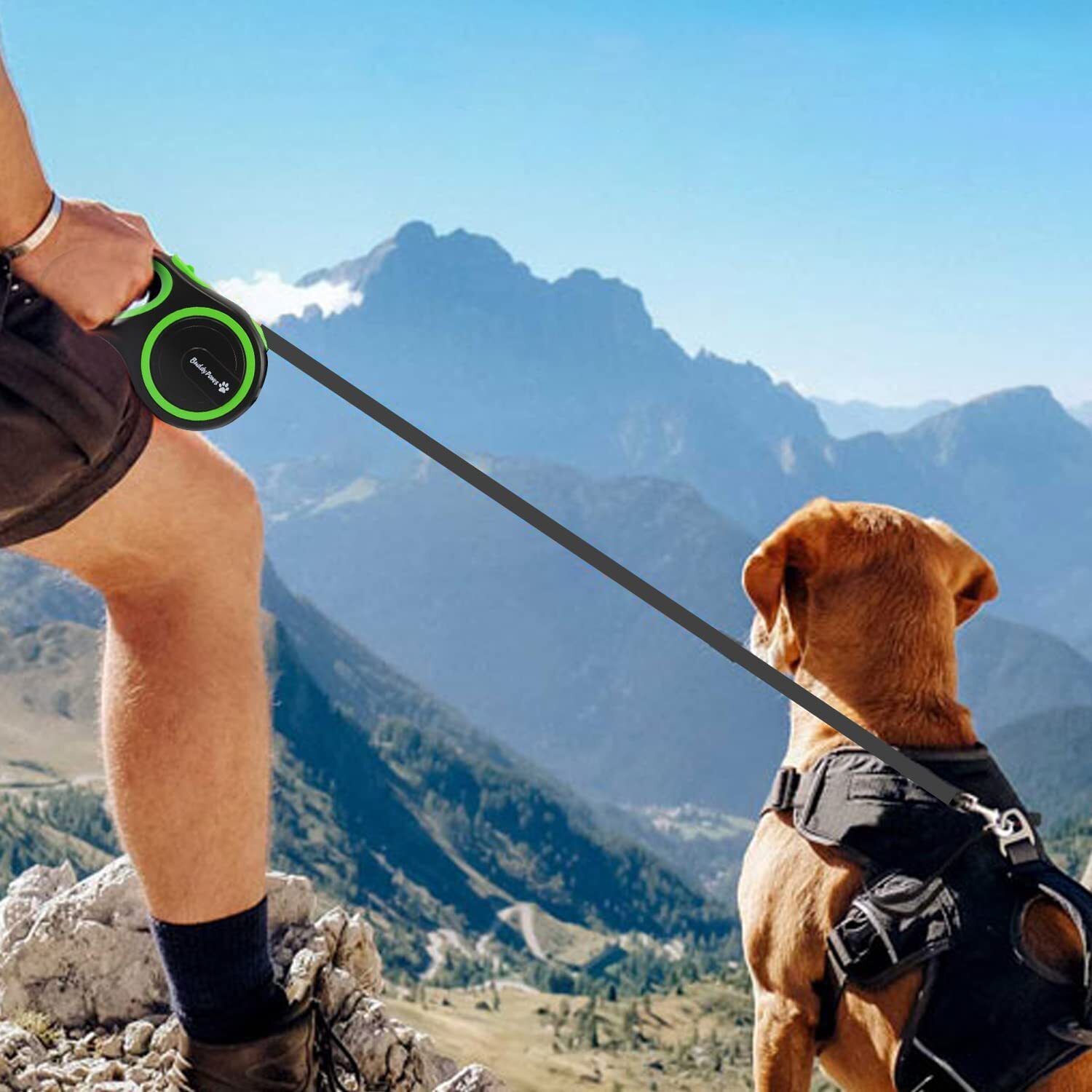 Retractable Dog Lead Extendable Training Dog Leash Pet Leads 3m 5m 8m ...