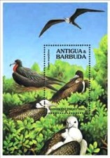 Timbre Oiseaux Antigua et Barbuda BF305 ** - 81947FQ