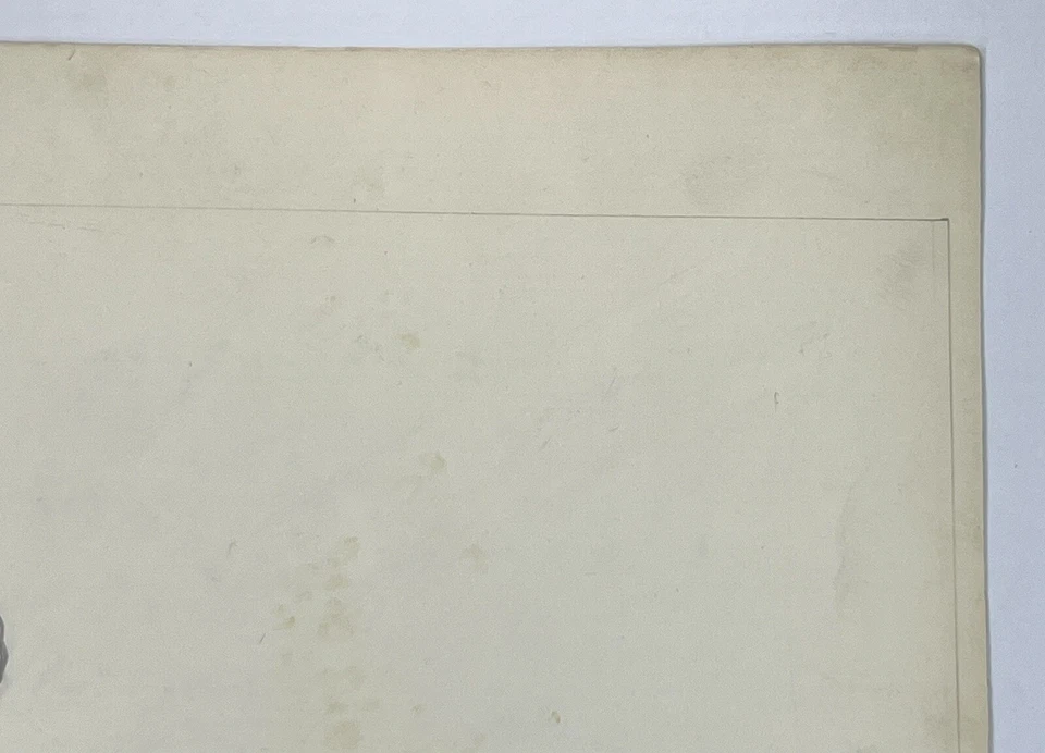 "Arte del desierto James Merrick de colección dibujo surrealista madera a la deriva de pie 11x14""" Foto 4 de 4