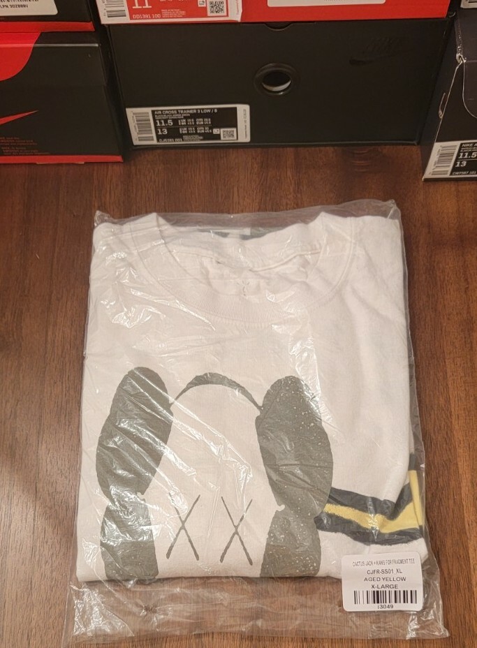 Купить Travis Scott Cactus Jack x Kaws 