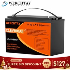12V 100Ah LiFePO4 Battery Lithium 15000+ Cycles BMS for RV Solar Marine Off Grid