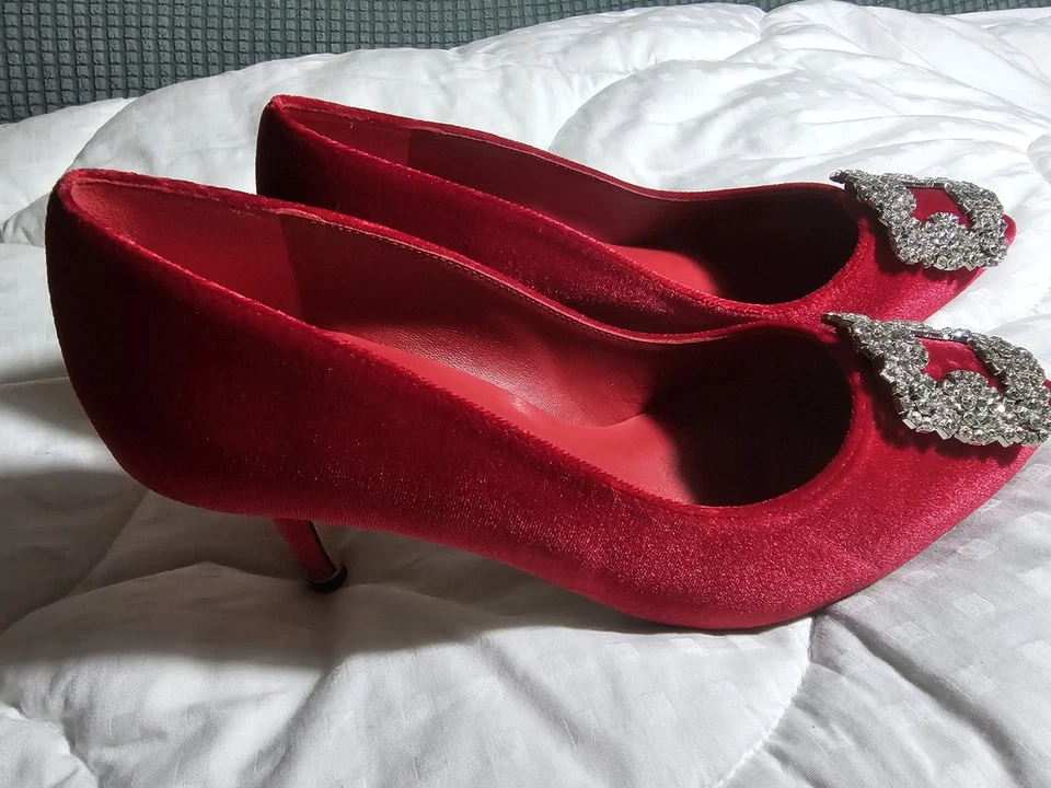 BOMBAS DE TERCIOPELO MANOLO BLAHNIK HANGISI Foto 3 de 4