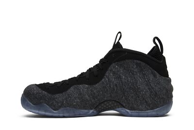 Nike Air Foamposite Pro Wool Fleece 624041-007 | eBay