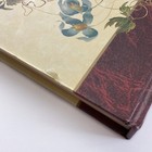 Picture 6 of 20