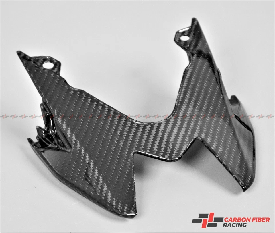 Carenado de luz trasera de fibra de carbono para BMW (S1000R 2014-2020) (S1000RR 2015-2018) Foto 3 de 3