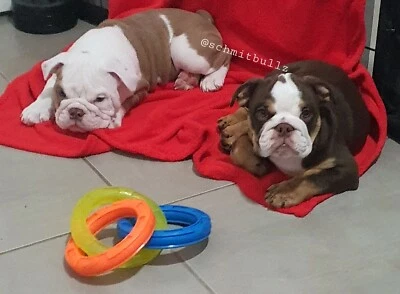 0cfin5xy2wf2qm 0cfin5xy2wf2qm