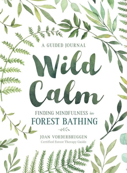 Wild Calm Joan Vorderbruggen Taschenbuch Kartoniert / Broschiert Englisch 2019-image
