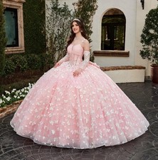 Pink Princess Strapless Corset Prom Dress Quinceanera Dress 15 16 Birthday Party