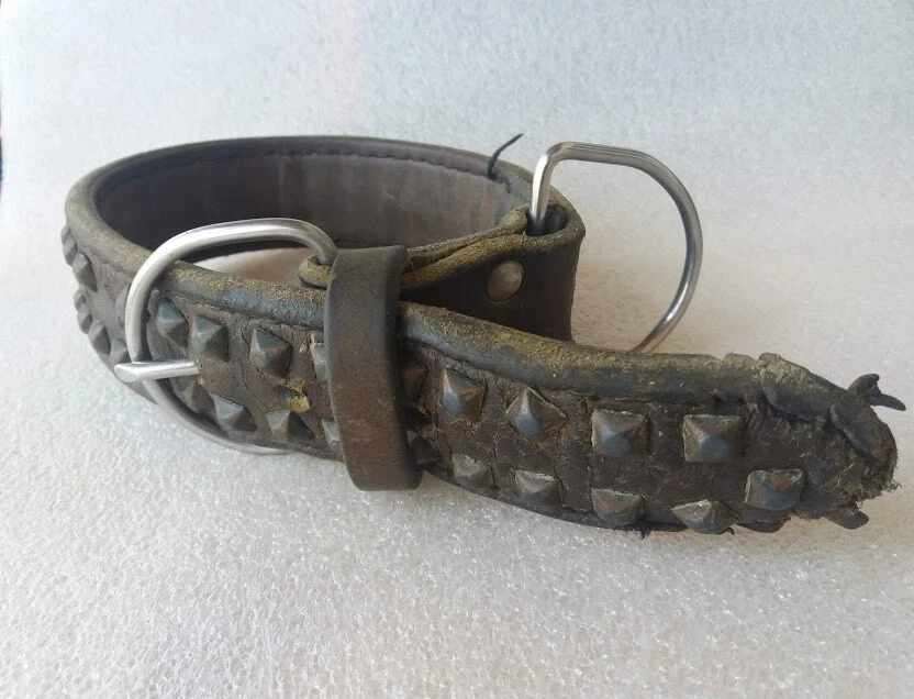 Old Vintage Leather Dog Collar Steel Studs eBay