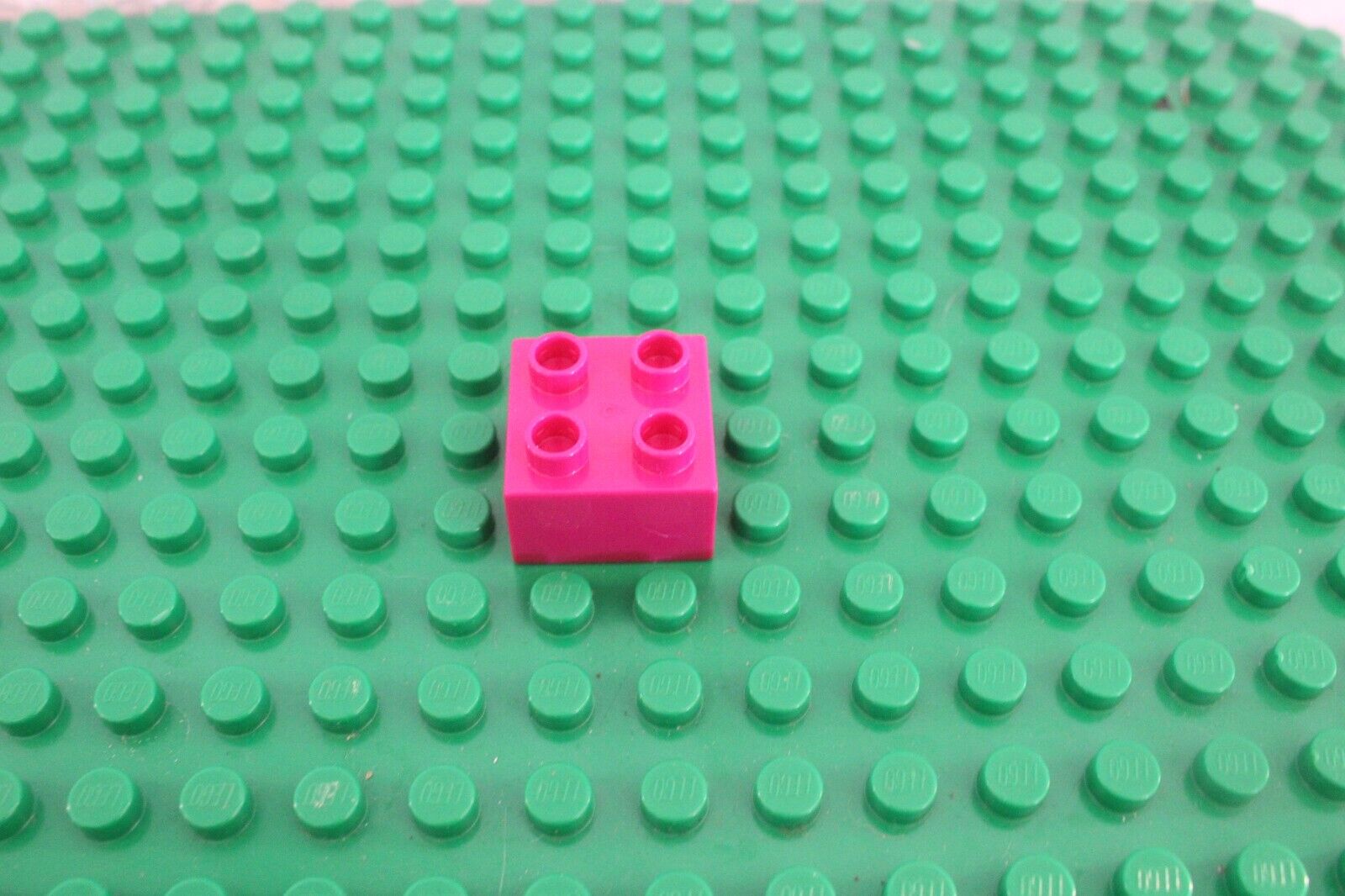 Bild 77 von 80