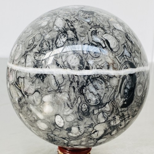 Insectoconcha Natural Cristal Fósil Bola Cuarzo Cristal Esfera Reiki Healing3340G - Imagen 2 de 12
