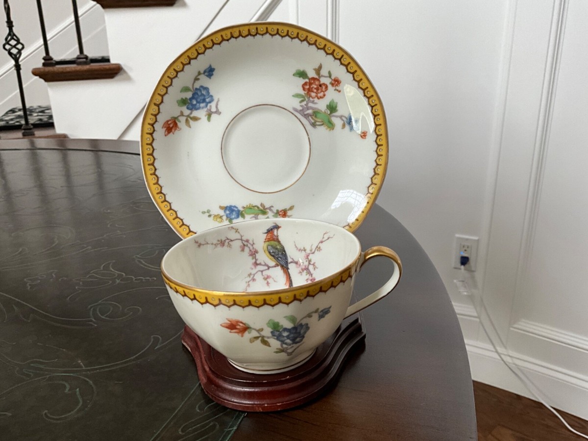 Haviland Limoges Tea cup and saucer, Eden pattern | eBay Haviland Limoges Tea cup and saucer, Eden pattern | eBay