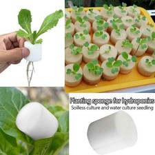 50Pcs Hydroponics Plant Grow Net Cup Soilless Cultivation Sponge Planting Basket 0.18 per sponge
