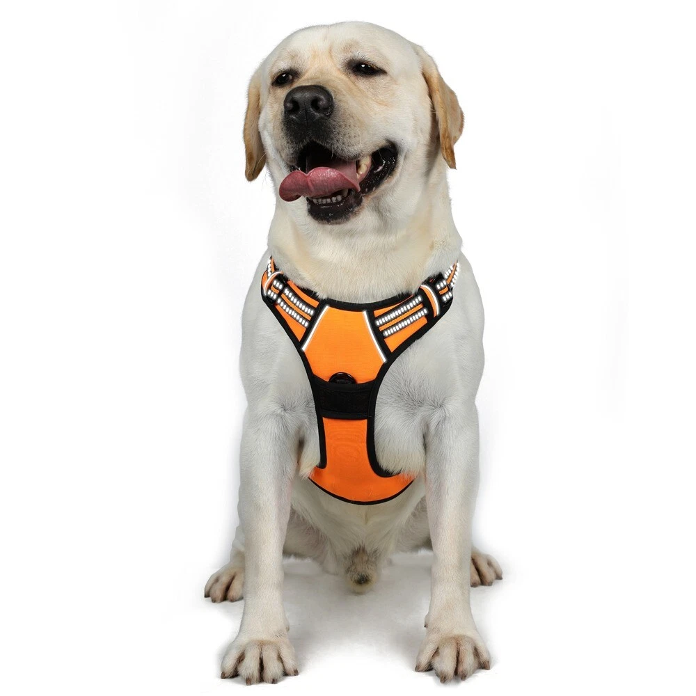 Dog Harness No-Pull Pet Harness with 2 Leash Clips Adjustable Reflective Orange