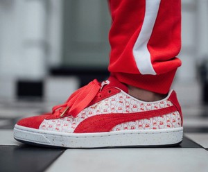 red pumas grade school