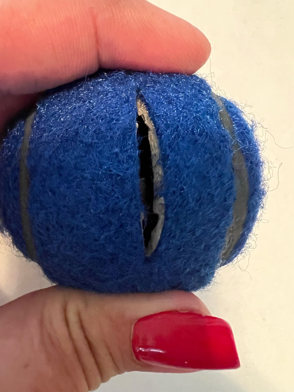 32 Blue Precut PreCut Tennis Balls for Chairs, Bulk Discount Heavy