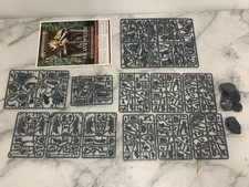 Age Of Sign at Skaventide Box Storm cast Externals Only (instructions+bases)