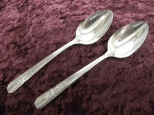 Celebrity / Wild Rose 2 Serving Spoons Wm A Rogers A1 Oneida Ltd No Monograms