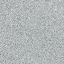 Nissan Light Gray Leather Dye
