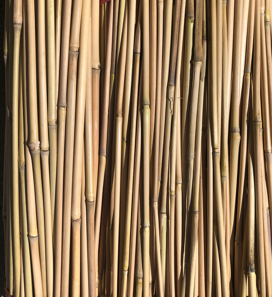 Bambus Stäbe Bambus Rohr Garten Basteln Insektenhotel 30Stk 50cm 0,5cm