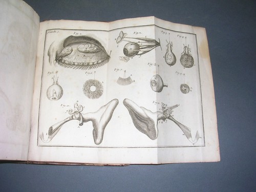 Médecine Anatomie XVIII°siècle Gravures Anatomie D'Heister 1735 14 planches HT - Picture 3 of 9