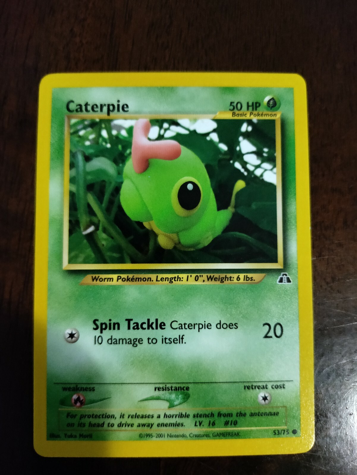 Caterpie - 53/75 Neo Discovery Unlimited Common Pokemon - NM/LP